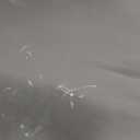 Rubies Astronaut Helmet for Adults, Unisex No Size