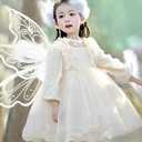 Lizxun Fairy Wings for Women Girls Butterfly Fairy Wings for Sparkle Princess Wings Halloween Cosplay Costumes Party Favor (One Size, Silver)