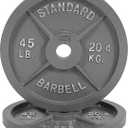 CAP Barbell Gray Olympic Cast Iron Weight Plate, Pair of 45lb Plates, Grey