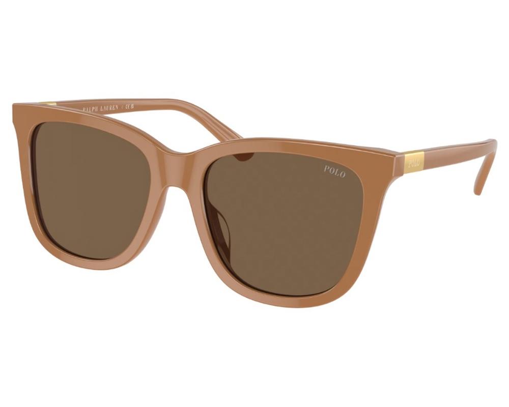 Polo PH 4201U Sunglasses