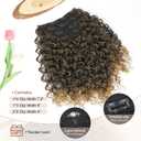 FLUFYMOOZ 4PC Clip in Hair Extensions, 14 Inch 100 Pure Protein Silk Short Hairpiece Deep Curly Wavy Hair Extensions Clip in Natural Soft Hairpiece for Women-Brown to Dirty Blonde