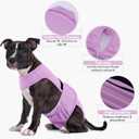 PUMYPOREITY Dog Diaper with Suspender, Escape-Proof Anti-Harassment Garment for Heat Cycle, Incontinence, Puppy Training, Senior Dog, L, Purple