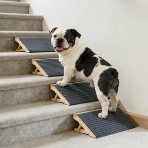 Dog Ramp for Stairs 4 Pack - Adjustable Solid Wood Foldable Indoor Pet Ramp for Senior & Injured Dogs, 2 Heights (4.2"/5.1"), Triangular Support & Non-Slip Carpet for Patio/Home, No Assembly (15.7L)