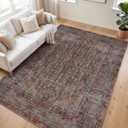 Kuden 5x7 Area Rug, Machine Washable Area Rug with Non-Slip Backing, Vintage Style, Soft, Easy Clean, Low Pile Rug for Living Room, Bedroom, Dining Room