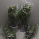 3FT Artificial Topiary Tree Beautiful Realistic Faux Cedar Pines Christmas Trees UV Rated Fake Shrubs for Front Porch Faux Plants Indoor and Outdoor Decor (2 Pack)