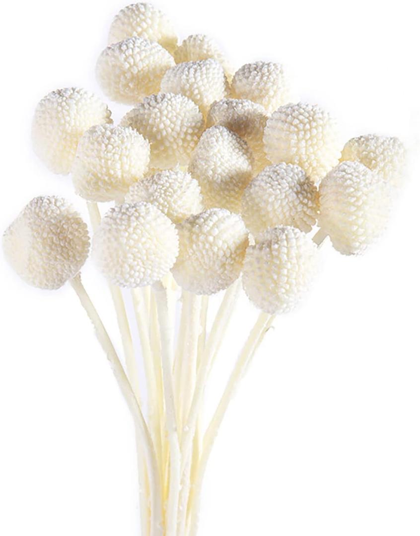 20Pcs Natural Dried Flowers Yellow Billy Balls Flowers 16" Dried Flower Bouquet Flowers Arrangements Bouquet for Boho Vases for Decor Wedding Home Party (White)