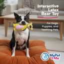 2 x My Pet & Me - Squeaky Dog Toys for Light to Moderate Chewers - Fun Latex Toys for Puppies, Teething, and Gentle Play - Interactive Fetch and Chew Toy with Squeaker (Golden Bear, 6 Inch)