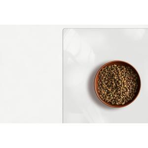 Clear Pet Bowl Mat, USA Made, Safe, Waterproof, 14 x 21 Inch, 2mm Thick Smooth Vinyl, Cat & Dog Cage Floor Mat (Crystal)