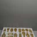 24pcs Glass Bud Vase Set, Small Gold Amber Flower Vases for Centerpieces in Bulk, Mini Vintage Vase for Wedding, Home,Table Decoration