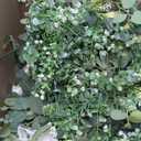 Grunyia 10 Bundles Artificial Fake Flowers, Faux Outdoor Plastic Plants UV Resistant Shrubs Outside Indoor Decorations (White-Eucalyptus)