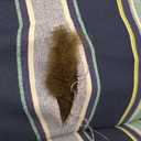 Arden Plush Modern Tufted Rocking Chair Cushion, 21.5 x 19, Rain-Proof, Fade Resistant, Tufted Cushions for Rocking and Adirondack Chairs Sapphire Aurora Blue Stripe