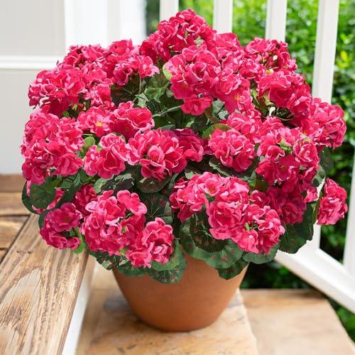 Artificial Geranium Fake Flowers for Outdoors Decoration, 6 Bundles Silk Geraniums Flower UV Resistant Look Real Faux Plants for Outside Planter Front Door Garden Patio Balcony Yard Home, Hot Pink