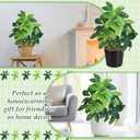 Daifunli 6 Pcs 19 Inch Artificial Greenery Branches Faux Money Tree Leaves Fake Greenery Decoration for Table Centerpieces Wedding Home Office Decor Feng Shui Decoration, Without Pot