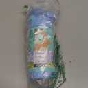 THERMOS FUNTAINER Water Bottle with Straw - 12 Ounce - Kids Stainless Steel Vacuum Insulated Water Bottle with Lid, Bluey