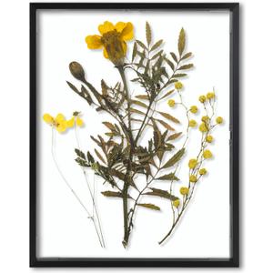 Frametory, Floating Picture Frame 11x14 - Black Aluminum Metal Photo Frame - Real Glass of Front - for Wall Mount Displays