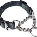 Mighty Paw Martingale Collar with Buckle | Training Dog Collar, Limited Cinch Chain Pet Gear for No Pull Dog Walking. Martingale Dog Collars for Large Dogs, Medium Breeds and Small Pets (Grey)