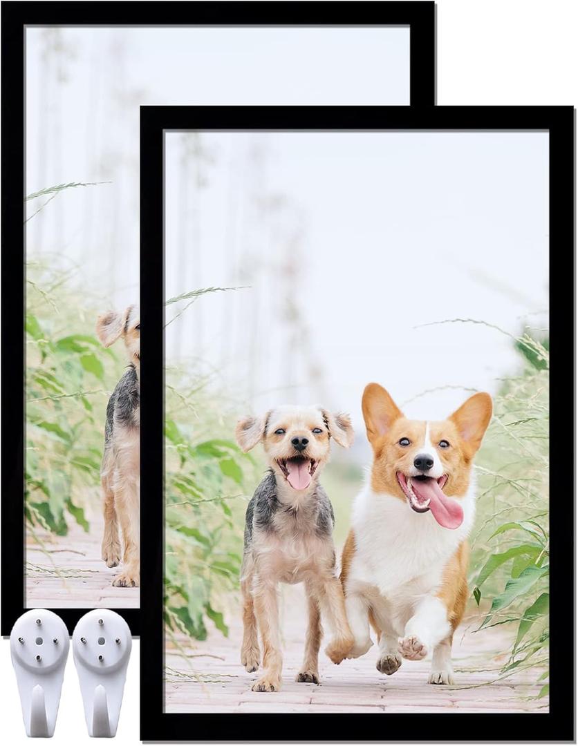 16x24 Picture Frame Set of 2, Black Photo Frames High Transparent Wall Gallery Desktop Horizontal Vertical for Canvas Collage Photo Poster Certificate 16 x 24 inches