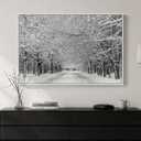Framed Black and White Landscape Wall Art, Modern Photography Forest Road Canvas Art Prints, Contemporary Nature Tree Pictures Wall Decor for Living Room Bedroom Dining Room Hallway Office 24x36 In