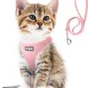 Fida Cat Harness and Leash Set for Walking Kitten and Puppy, Escape Proof Kitten Harness with Breathable Lightweight Soft Mesh, Adjustable Reflective Step-in Design. (XXXS, Pink) (XXXS (Neck:10.2"-11.4"; Girth:11.4"-12.6"))