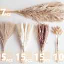 Decorative Tall Pampas Grass for Floor Vase Premium Large Pampas Grass Decor Tall, 17"-40" Pampas Grass Stems, Dried Pampas Grass Decor Tall, Natural Pampas Grass with Beige Decor and Boho Feathers