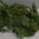 6.5FT Christmas Garland with 16.4FT LED Lights String - Artificial Realistic Cedar Garland, Norfolk Pine Cypress Vines with Lights for Christmas Winter Decorations Table Mantle Outdoor Indoor