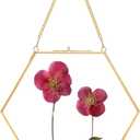 Glass Pressed Flower Frame Handmade, Double Glass Frame for Pressed Flowers Brass Floating Picture Frames, Wall Hanging Picture Frame for Dried Flowers Home Wall, Hexagon, Gold (FRAME ONLY) (8L" x 9.4W")