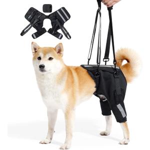 Dog Rear Leg Support Harness, Breathable Lift Assist for Large Dogs, Reflective Strips, Padded Handle for Stairs, Car Entry & Night Walks(L)