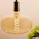 Oversized Decorative LED Light Bulb 6W 500LM E26 Large Fancy Edison Bulbs 60W Incandescent Dimmable 2200k Warm White Pendant Lighting for Bedroom Dining Living Room Bar1 Pack (PK215AM)