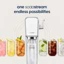 SodaStream Diet Ginger Ale Syrup, 14.8 Fluid Ounce (EXP 10/13/26)