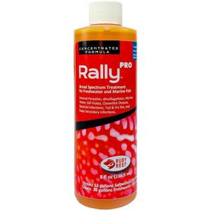 Rally Pro 8 oz. Round ( Pack of 2 )