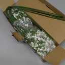 Babys Breath Artificial Flowers,12 Pcs Gypsophila Real Touch Flowers for Wedding Party Home Garden Decoration (12pcs, White)