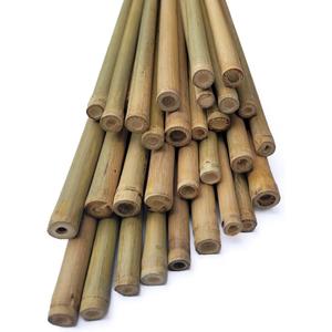 LJAAJSUV 30 Pcs - 2ft Plant Stakes Natural Garden Bamboo Sticks for Indoor and Outdoor Plants, Plant Support Stakes for Tomatoes, Beans, Potted Plants.