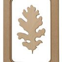 Leaf Shadow Box