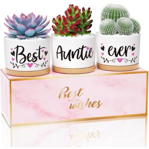 MAYICIVO Mothers Day Aunt Gifts from Niece Nephew, Best Gifts for Aunts Auntie, Unique Aunts Birthday Gift Auntie, Best Auntie Ever Succulent Pots for Plants Indoor Ceramic Planter