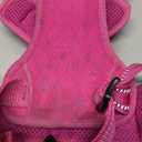 Voyager Dog Harness Dual Leash Attachment No-Pull Control Adjustable Soft but Strong Pet Harness for Medium and Large Dogs with 3M Reflective Technology, Fuchsia Nylon, L (Chest: 25-30")