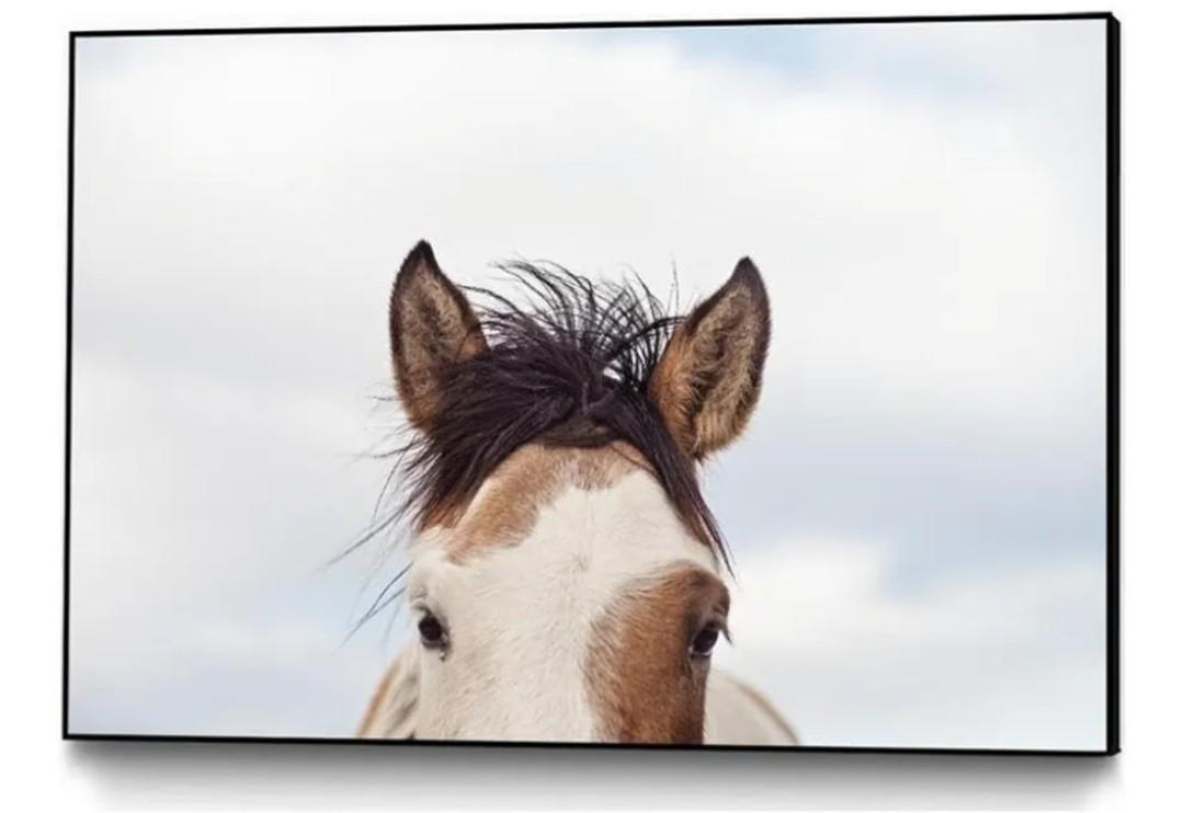 Giant Art Canvas 20x22 Eyes Up Framed In Pink