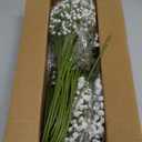 36 Pcs Babys Breath Artificial Flowers, Baby Breath Flowers Artificial Bulk Long Stem Fake Babies Breath Faux Gypsophila White Flowers Artificial for Decoration (No Eucalyptus Stems)