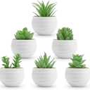 Der Rose 6 Pack Fake Plants Small Realistic Succulents Plants Artificial for Home Room Decor Indoor
