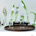 Propagation Stations Tubes Set of 8, Bud Propagation Vases for Plants, Hydroponic Terrarium Decor, Glass Planters for Indoor Plants, Glass Vase for Home Table Decorations