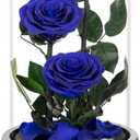 Preserved Roses Handmade Preserved Flowers in Glass Dome, Blue Rose Never Withered, Birthday Gifts for Women (13 inch)