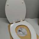 Bemis 1500EC Durable Wood Toilet Seat with Easy Clean Hinges, Made in USA, Elongated, Ice Grey