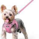 rabbitgoo Dog Harness Small Sized and Leash Set, Step in Soft Light Puppy Vest, Breathable Mesh Pet Harness, Reflective for Safe Easy Walking, Pink & Plaid Trim XS