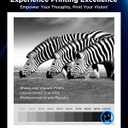 17A CF217A Toner Cartridge  High Yield Compatible with HP LaserJet Pro M102w, M102a, MFP M130a, M130nw, M130fn, M130fw, M102, M130 Series Printers  Replacement for CF217A Toner (2-Pack, Black)