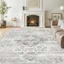 Washable 5x7 Area Rug - Soft Ultra Thin Living Room Rugs Stain Resistant Non Slip Area Rugs for Bedroom Vintage Home Decor Indoor Floor Mat (Ivory/Gray,5'x7')