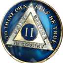 2 Year Midnight Blue AA Alcoholics Anonymous Medallion Chip Tri Plate Gold & Nickel Plated Serenity Prayer