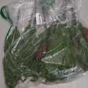 florisso Artificial Christmas Norfolk Pine Stems Branches for Vases,12 Bundles Faux Pine Branches with 5 PCS Big Fake Pinecones Stems Greenery Evergreen Real Touch for Holiday Winter Table Xmas Decor