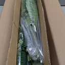 Artificial Boston Fern Bush - Set of 2 45Inch Fake Ferns with 55 Fronds, Large Hanging Faux Plants Decor, UV Resistant Faux Fern Vines Silk Greenery for Outdoor Indoor, Porch, Farms, Patio