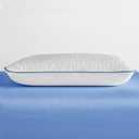 Sleep Innovations Forever Cool Gel Memory Foam Pillow, Standard, White