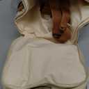 BABEYER Breastmilk Cooler Bag with Ice Pack Fits 6 Baby Bottles Up to 9 Ounce