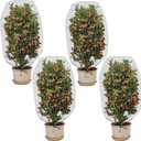 4 Pcs Insect Bird Barrier Tree Net with Drawstring, 4.9 x 3.2 Ft Garden Bird Netting Plant Cover, Fruit Tree Netting for Protect Plants Fruits Flowers from Insect Bird Eating